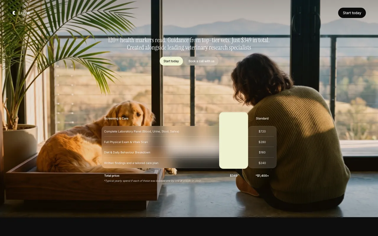 模型生成 UI 的桌面截图
