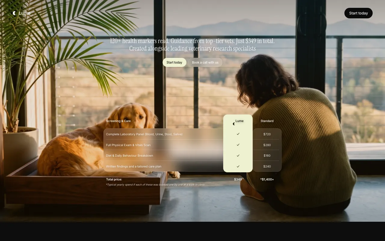 模型生成 UI 的桌面截图