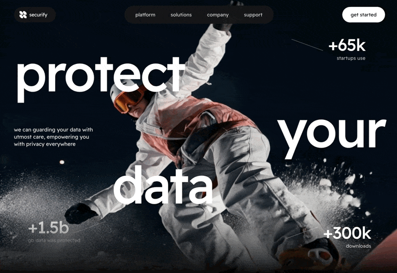 Securify 数据安全