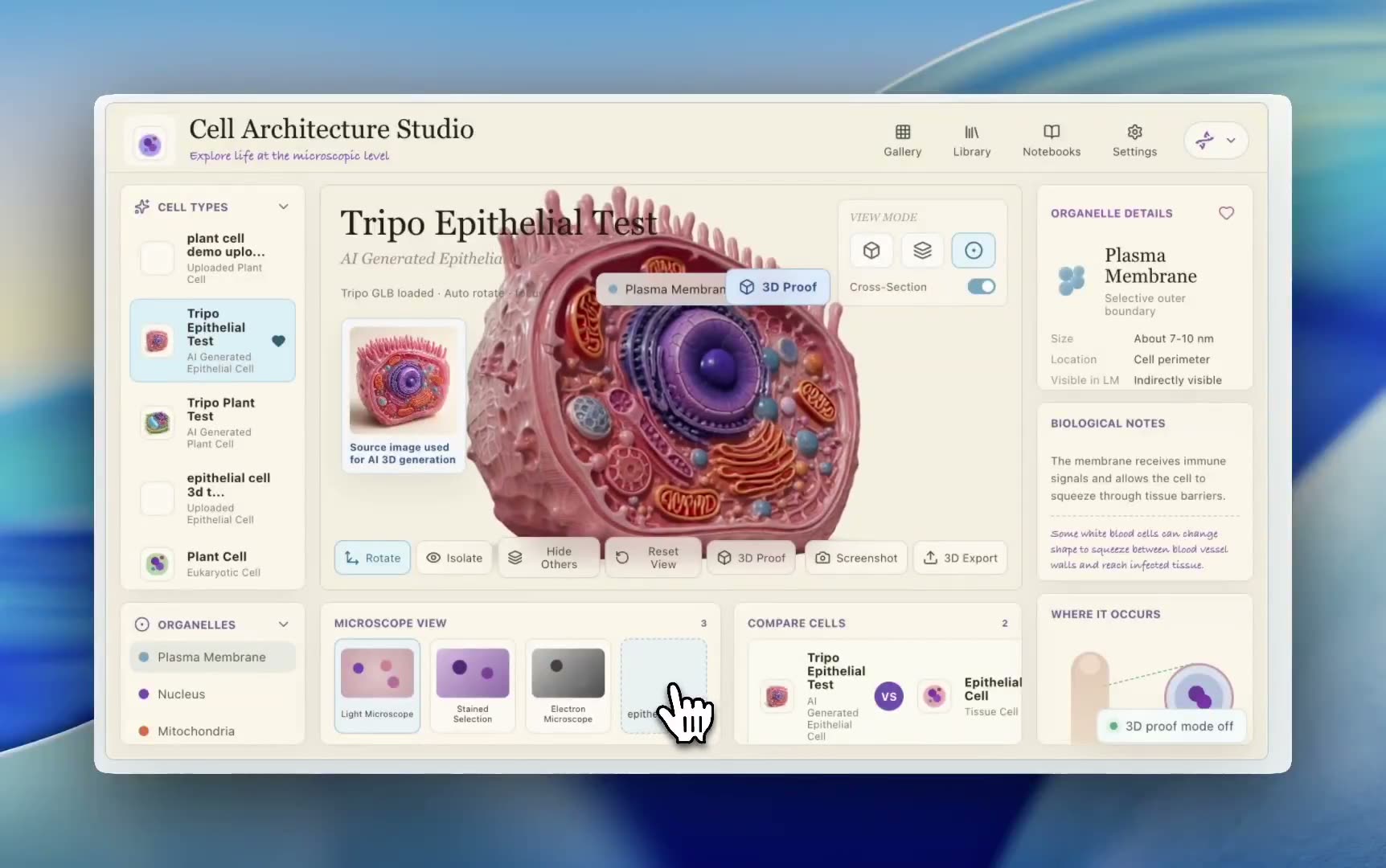 image to 3D